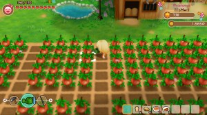 assets/images/tests/story-of-seasons-friends-of-mineral-town/story-of-seasons-friends-of-mineral-town_mini1.jpg